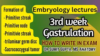 Gastrulation  Primitive streak  General embryology [upl. by Nelli]