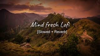 Mind Fresh Song Lofi SlowedReverb  Textaudio [upl. by Helse]