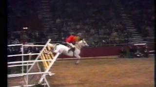 Nick Skelton on Lastic  Record jump on 232 m [upl. by Ayim]