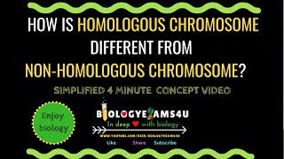 Difference between Homologous chromosome and Non homologous Chromosome [upl. by Aggappera]