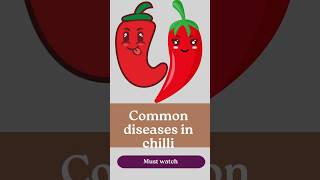 Common diseases in chilli plant [upl. by Agustin993]