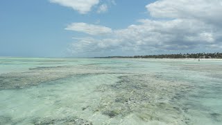 Snorkeling Schnorcheln Sansibar Kuba Ägyptenzum Entspannen [upl. by Ahsina]