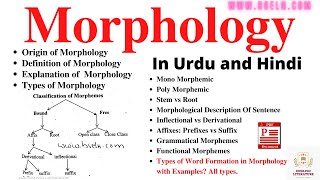 Morphology Word Formation In Morphology Morphological Analysis Sentence Types Of Morpheme PDF [upl. by Ignaz]