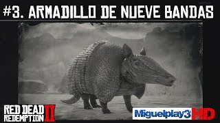 Localización Armadillo de Nueve Bandas  3Compendio Animales  Red dead redemption 2 [upl. by Sorvats6]