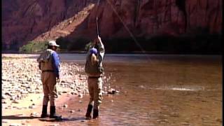 LEES FERRY COLORADO RIVER FLY FISHING [upl. by Caz489]