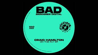 Craig Hamilton  Party Policies BAD22 [upl. by Collimore]