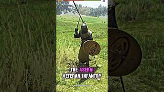 TOP 5 Infantry units in Mount and Blade 2 Bannerlord gaming [upl. by Iggie]