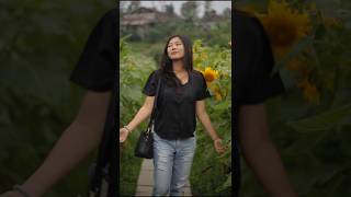 Canon 6d video test canon canon6d videotest flowers sunflower [upl. by Maynard]