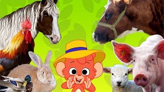 Learn Farm Animals Names and Sounds  Real Farm Animal video for Children  Club Baboo [upl. by Ecyrb]