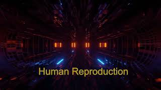 NCERTClass12BioCh2Human Reproduction  Deep Dive Podcast Chapter Summary [upl. by Negriv]