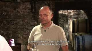 Understanding Burgundy Chablis Grand Crus with Bernard Raveneau [upl. by Yralih38]