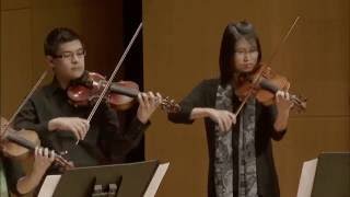 ViolUNTi performs Shostakovich Waltz No2 [upl. by Aillicec]