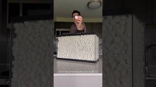 1000 Marshmallow Eating Challenge [upl. by Aihsema]