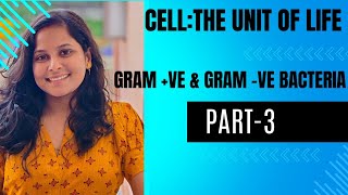 CellThe Unit Of Life Part3Types of Bacteria Gram ve amp Gram veCBSECHSEPGTSSC RAILWAY [upl. by Dawson]