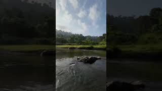 Dirok Mopaya  Assam Arunachal Border  nature naturesounds naturelovers travel love [upl. by Josiah]