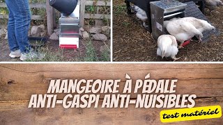 👩‍🌾 Mangeoire pour poules antigaspi antinuisibles [upl. by Dygal]