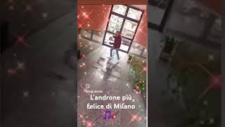 Landrone più felice di Milano Salvo il cameriere più matto della storia dei camerieri 🤪🎵🎸 [upl. by Nalyac]