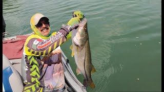 Este río esta lleno de ROBALOS 2 La Palma Tabasco Pesca de ROBALOS [upl. by Bartholomew]