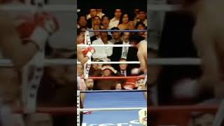 Pacquiao VS Morales 3 pacquiaovsmorales3 [upl. by Lothar]