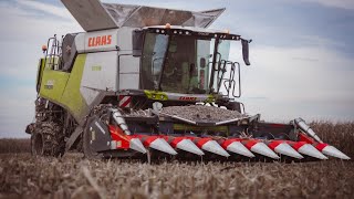 Koszenie kukurydzy 🔥🔥CLAAS TRION 650 🔥🔥DEUTZFAHR WARRIOR 7250 🔥🔥 FENDT 724 [upl. by Suertemed]