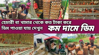 কম দামে ডিম হেচারী বা খামার থেকে কিভাবে সরকারি ডিম নিতে পারবেন দেখুন farming ফার্মিং ডিম মুরগী [upl. by Norri388]