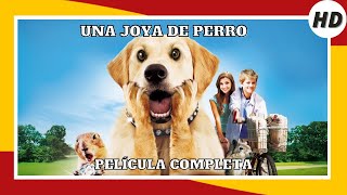 Una joya de perro  HD  Comedia  Película Completa en Español [upl. by Relyat]