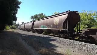 BNSF 8177 with the RICBAR 06sep24 [upl. by Dyol]