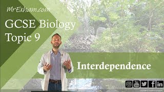 Interdependence  GCSE Biology 91 93 [upl. by Ong]