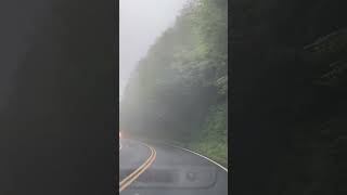 Smoky Mountain trip touristattraction viralvideo viral shorts [upl. by Itsyrc]