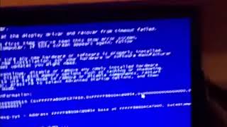 Windows Bsod Compilation 3 Mouse [upl. by Osnola]