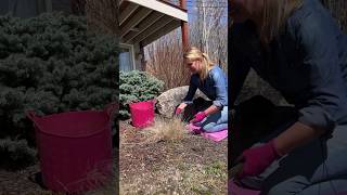 Gardening Quick Tip 5 One Essential Tip For Perfectly Beautiful Ornamental Grasses All Year Long [upl. by Ispep741]