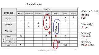 Palatalization in English [upl. by Smukler]