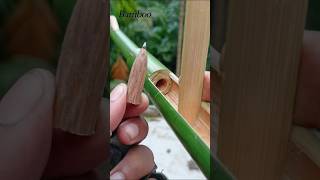 Bamboo creations with Bamboo Spring [upl. by Anitan195]