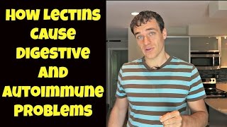 Lectins Can Cause Colitis Crohns And Autoimmune Skin Conditions In Some People [upl. by Eninnaej799]