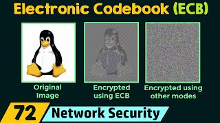 Electronic Codebook ECB [upl. by Spatz]