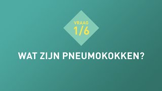 Vraag 1 Wat zijn pneumokokken [upl. by Lemuel]