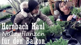 Hornbach Haul  Nutzpflanzen für den Balkon Tyra at Home [upl. by Ecitnirp]