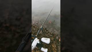 Day 201 bassfishing shortsviral fypyoutube trendingreels [upl. by Elsworth]