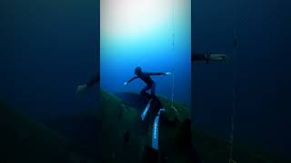 tenerife apnea freediving ocean canarias tenerife4k underwater wreck oceano [upl. by Solahcin]