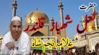 Najam Ali Shah Bayen  Lal Shahbaz Qalandar Full History  2018 New [upl. by Bores]