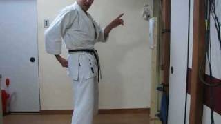 KARATE SHOTOKAN TREINAMENTO  Treinamento com Makiwara 1 B [upl. by James156]