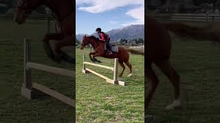 Jumping 60cm on pixie 😜 [upl. by Bowlds]