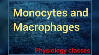 Monocytes and Macrophages  In hindi  Physiology classes [upl. by Brote]