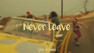 DVBBS  Never Leave Lyrics [upl. by Balduin]