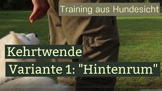 Kehrtwende Variante 1  Ohne Stress und Zwang Hundetraining [upl. by Alohcin]