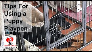 Tips for Using a Puppy Playpen [upl. by Riem]