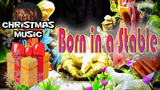 Born in a Stable 🎁 Christmas Music [upl. by Beekman]