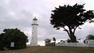 Tiritiri Matangi Island [upl. by Haraj228]