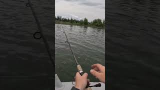 Topwater Pike Strike pike fishing topwater [upl. by Nolur]