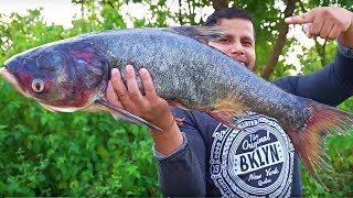 THE BEST DEEP FRYING FISH PAKORA EVER 😋 SIMPLE AND EASY WAY TO MAKE FISH FRY [upl. by Etnohs]